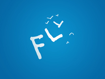 Fly Logo identity logo