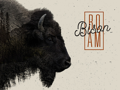Roam Like A Bison bison double exposure roam travel
