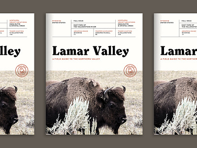 Lamar Valley - Field Guide