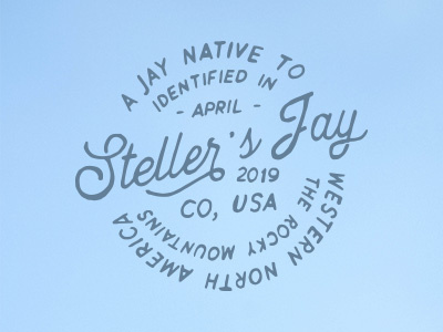 Stellar Jay badge birding blue colorado explore hand hand drawn handlettering lettering pen usa