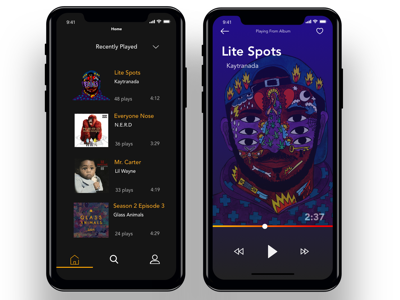 iPhone X Music Concept architecture design information music ui