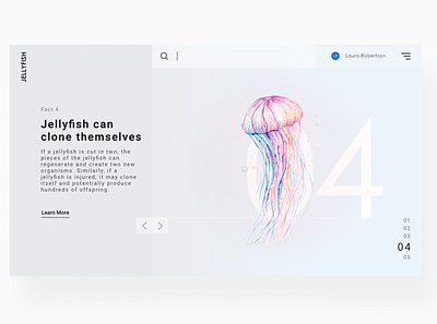 Jellyfish Information UI concept design info interaction ui uidesign ux uxdesign webpage website