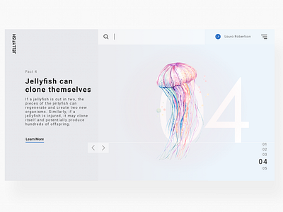 Jellyfish Information UI