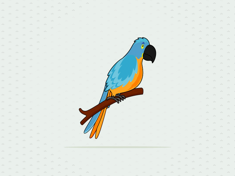 The Parrot animals bhagirath bird blue design gif graphics illustration macaw minimal motion parrot yellow
