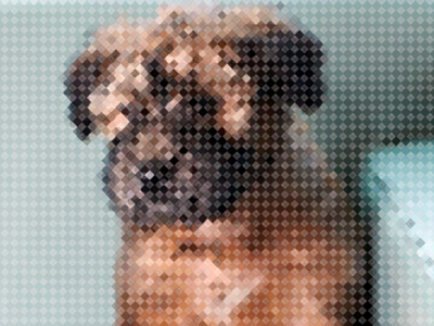 Meeko! dog pixel pixelate