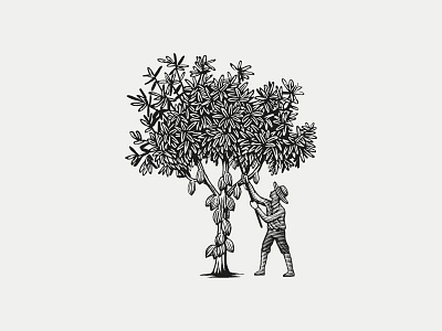 Logo for Le Passeur D'Arômes cocoa engraved engraving farm tree tree logo vector engraving