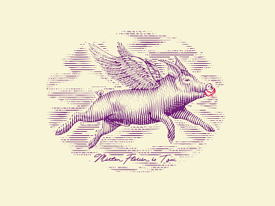 Illustration flying pig