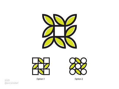 Nature Concept brand brand identity branding concept design icon illustration leaf logo nature ui vector