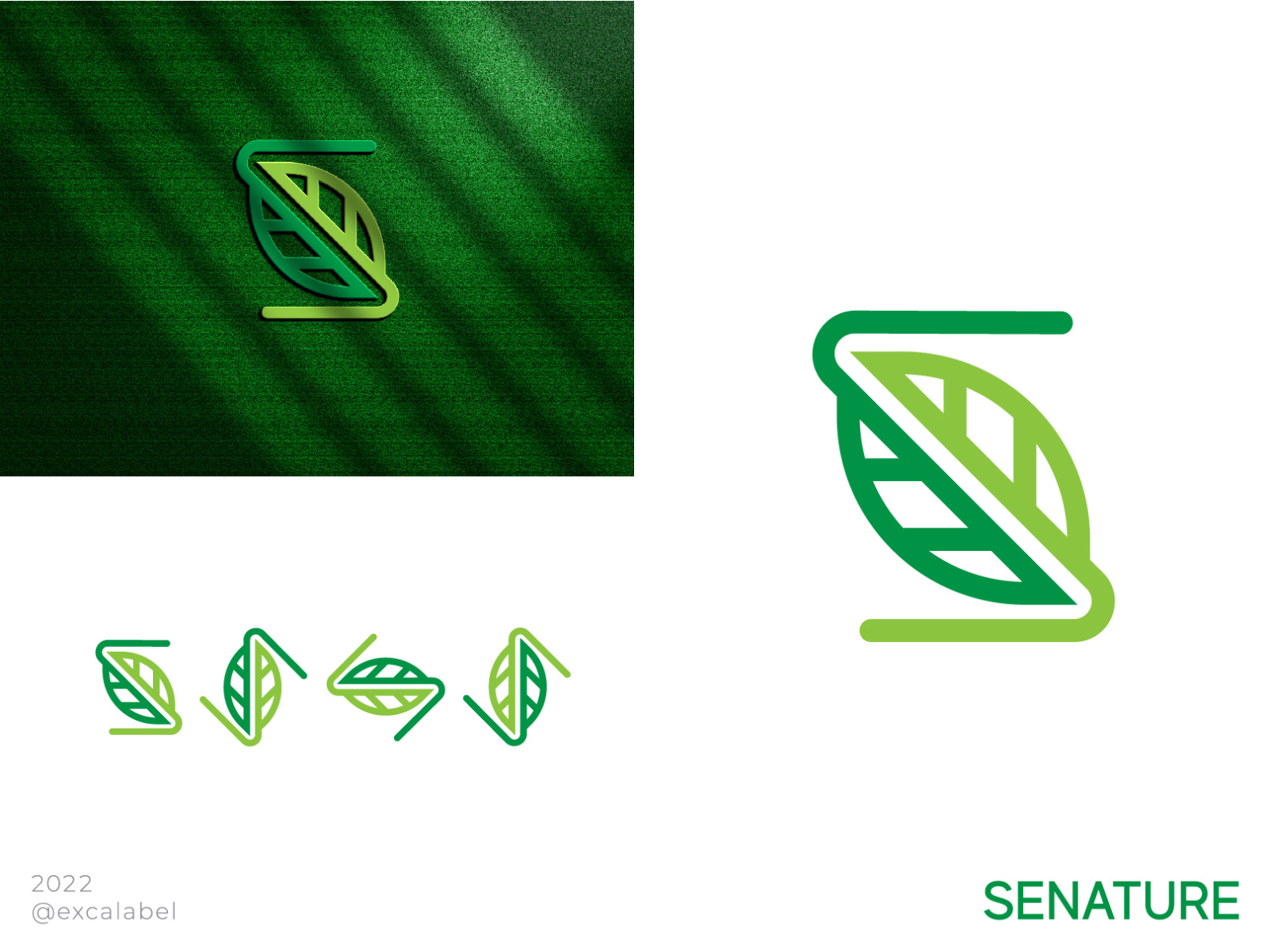 Senature by yp on Dribbble