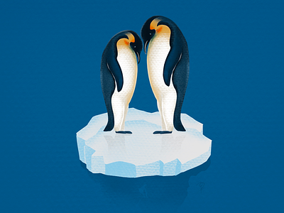 Penguin illustration procreate