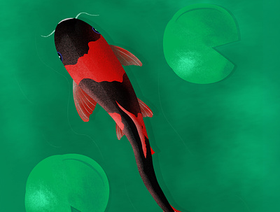 Fish graphic design illustration procreate