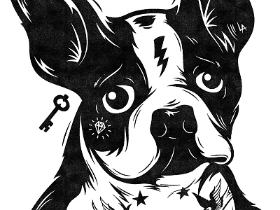 Atticus black and white french bulldog illustration illustrator portrait vector