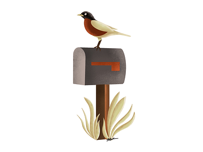 Robin bird birds design illustration illustrations ipad pro procreate robin spring summer