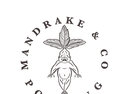 Mandrake & Potting Co Logo blackandwhite harry potter line work logo mandrake procreate