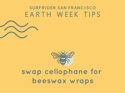 Tip #7 bee beeswax design earthday icon iconography illustration logotype