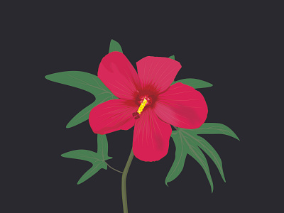 Hawaiian hibiscus