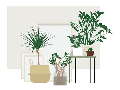 House plants