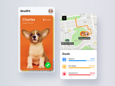 StrollFit aesthetics android cards colorful design dog figma goals interface ios map minimal mobile navigation stroll ui uidesign uiux vector walk