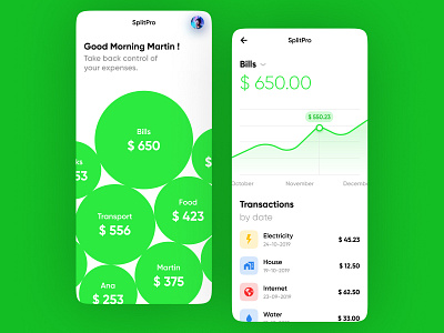SplitPro aesthetics android bills bubble chart design expense expense tracker figma graphs green interface ios minimal money payment uiux uiuxdesign vector