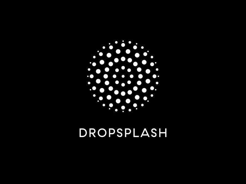 Animated DropSplash Logo Posibility animation css dropsplash