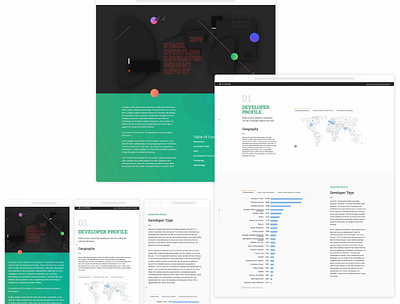 Stack Overflow 2019 Global Developer Survey Report illustration product design typography ui ux website