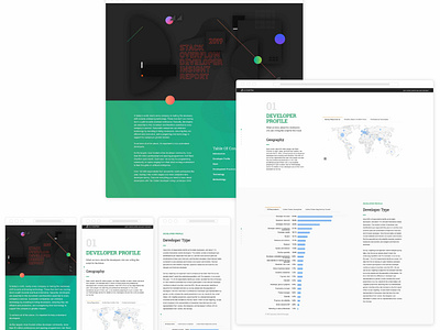 Stack Overflow 2019 Global Developer Survey Report