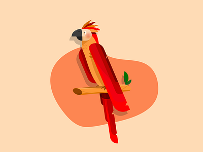 Vectober 27 - Parrot bird design illustration parrot vectober
