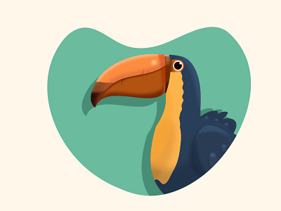 Toucan bird design illustration toucan