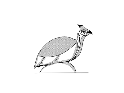 Inktober 16 - Fowl design fowl illustration inktober