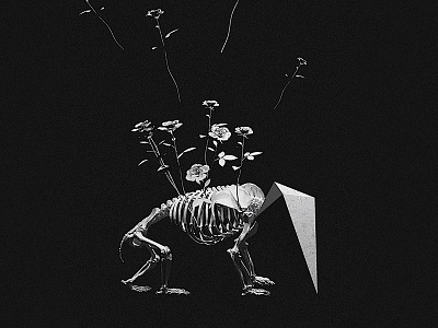 Life black concrete digital dreams illustration manipulation milliondirtyways roses skeleton white