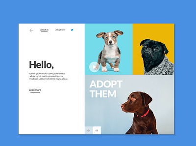 Adopt Them | Web Design branding design flat minimal puppies ui uidesign uiux web webdesign website