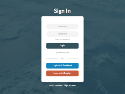 Login Screen UI