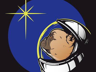 Space dogo dog illustration illustrator spacedog vector