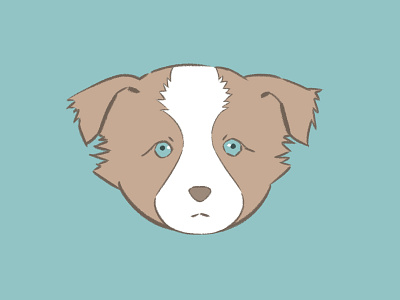 American Shepherd ( 2 Dribbble Invite 2d character design design dog doodle flat illustration