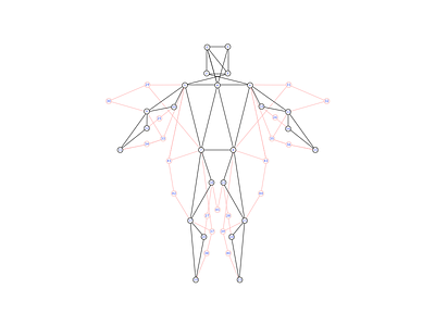 Rag Doll Diagram diagram points sketch verlet