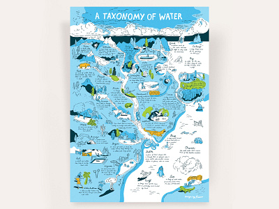 Taxonomy Series — Water custom type illustration lettering