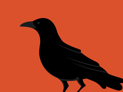 Crow illustration