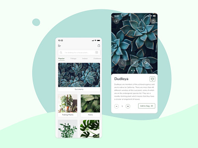 Indoor Plant Application minimal mobile modern phone plants succulents ui ux