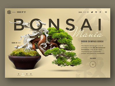 Update №8 playing around with bonsai trees..