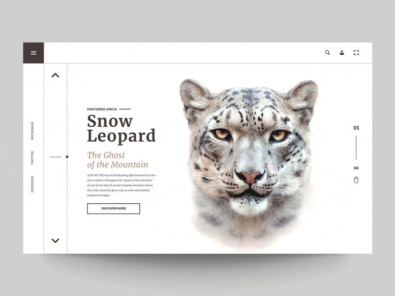 Daily UI "Endangered wild cats" animation design interaction interface motion movie parallax principle ui ux