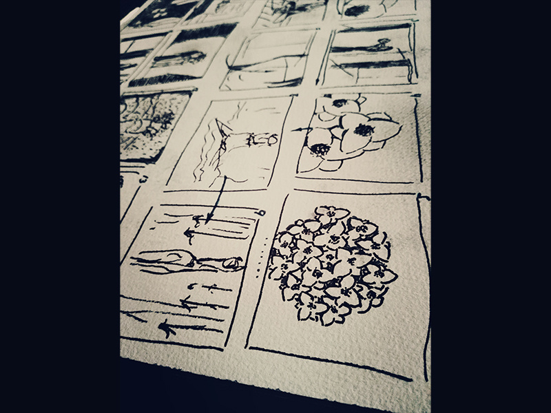 Storyboard for Marta Hurtado Photography marta hurtado photography creative direction sketch drawing storyboard graphility