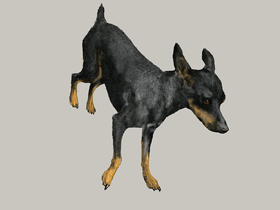 Little Doggio Sketch Inked