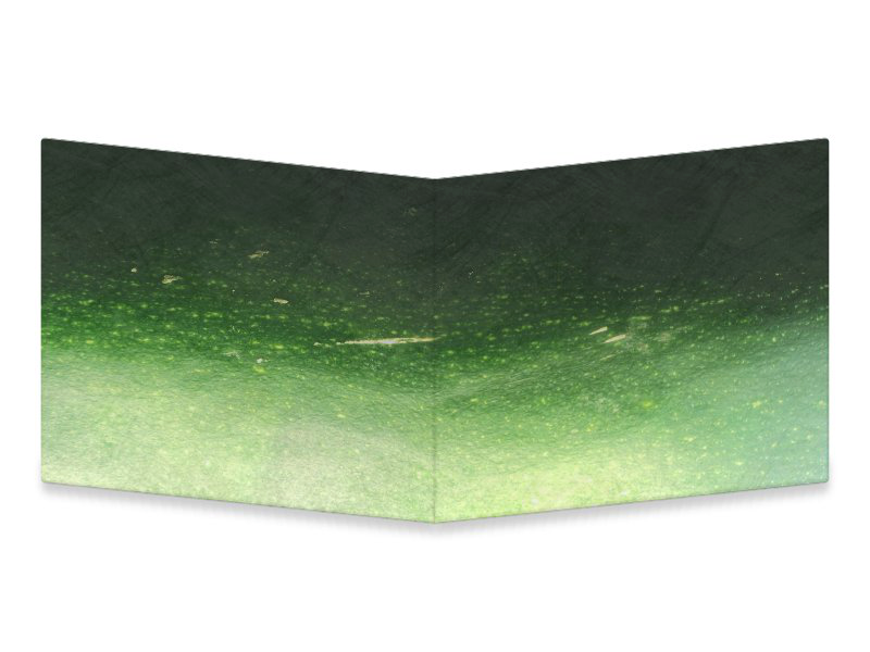 Marrow macro photograph raw mightywallet wallet gourd green vegetable zucchini courgette marrow