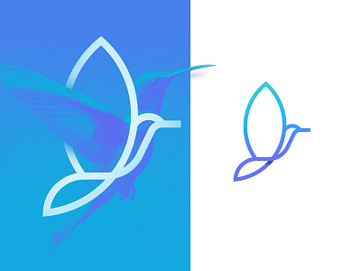 Humming bird logo