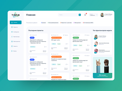 Freelance Dashboard UI