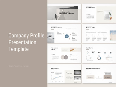 Company Profile Presentation Template branding companypresentation companyprofile design graphic design powerpointdesign presentation