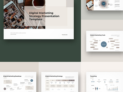 Digital Marketing Strategy Presentation Template