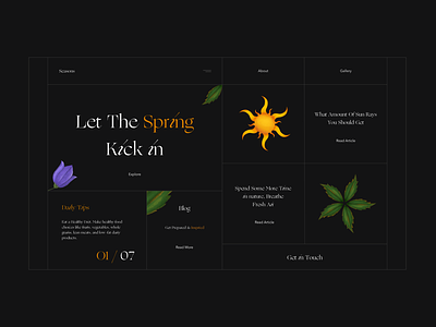 Spring Kicks In design flower flowers illustration interface leaf leaves rays spring springtime sun sunny ui ux web webdesign