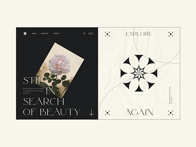 Roses branding design illustration interface typography ui web webdesign