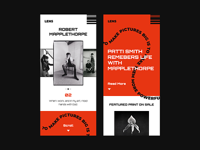 Robert Mapplethorpe app branding design typography ui ux